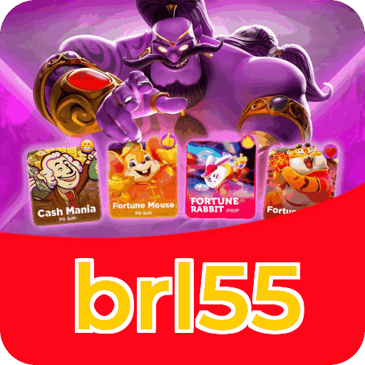 Interface brl55